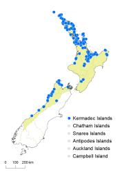 Lycopodiella cernua distribution map based on databased records at AK, CHR & WELT.
 Image: K.Boardman © Landcare Research 2019 CC BY 4.0